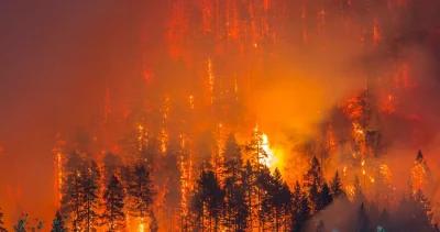 Oregon wildfires h1