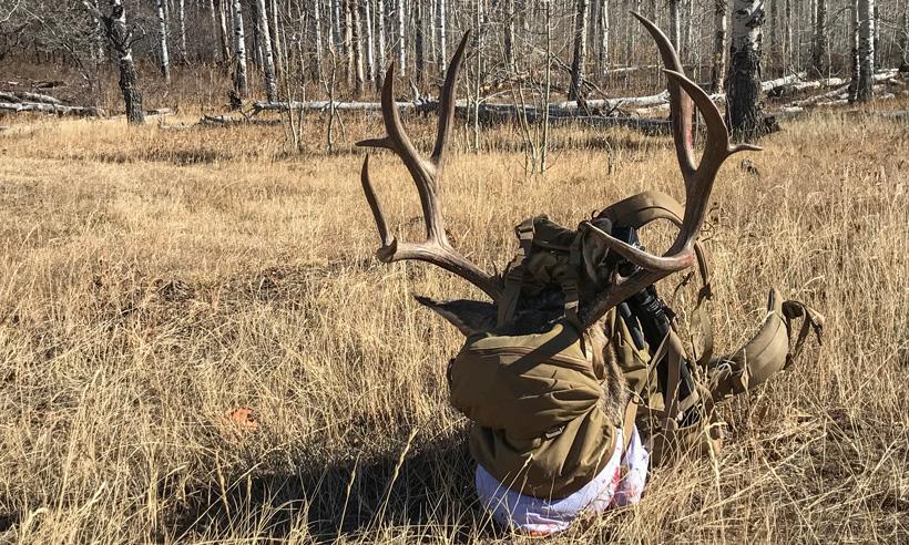Chris porter 2017 colorado mule deer in mystery ranch backpack