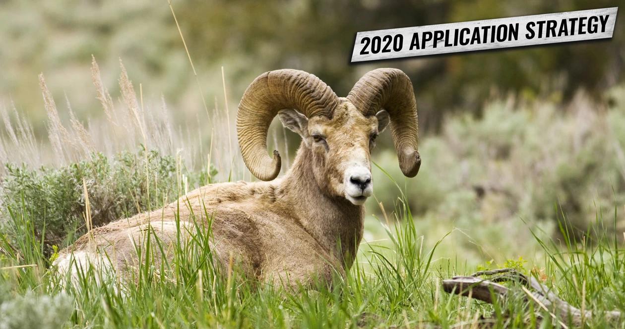 Sheep goat oregon application h1