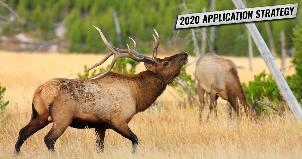 Washington deer elk application strategy h1