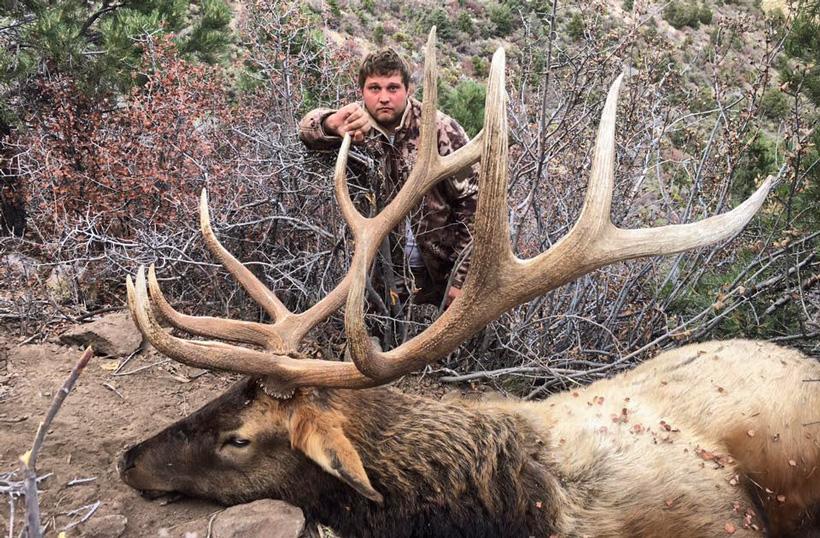Bull elk taken with tyler bowler hunting
