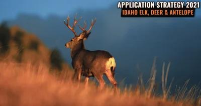 Idaho elk deer antelope applicaiton strategy h1