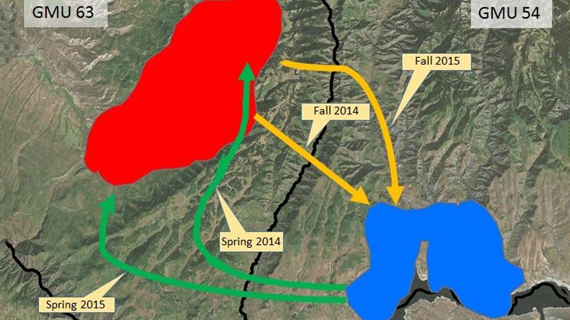 Migration path map of elk