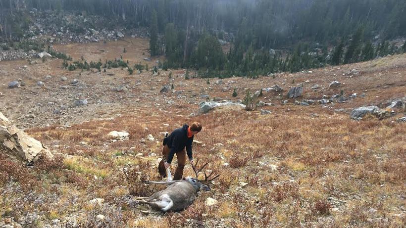 Recovering a mule deer from steep alpine basin