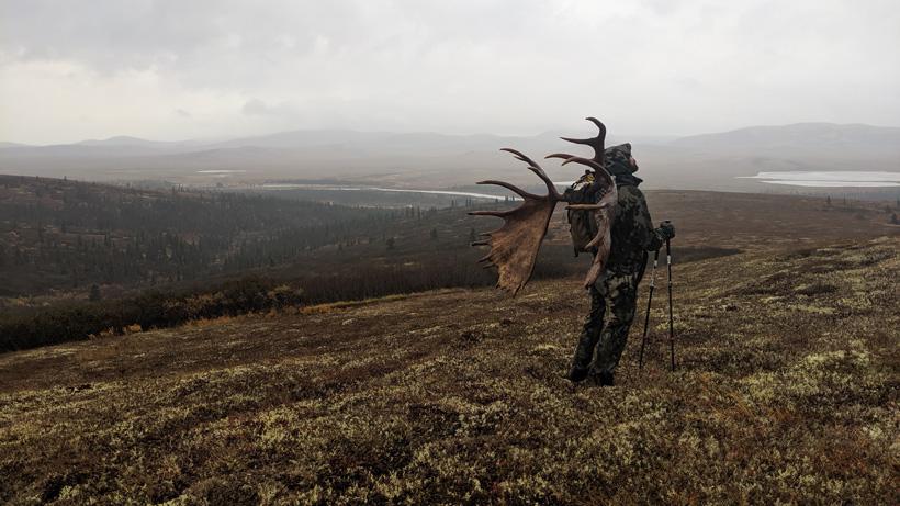 Trail alaskan moose hunt