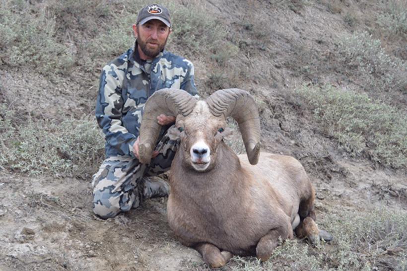 2016 montana missouri river breaks bighorn sheep