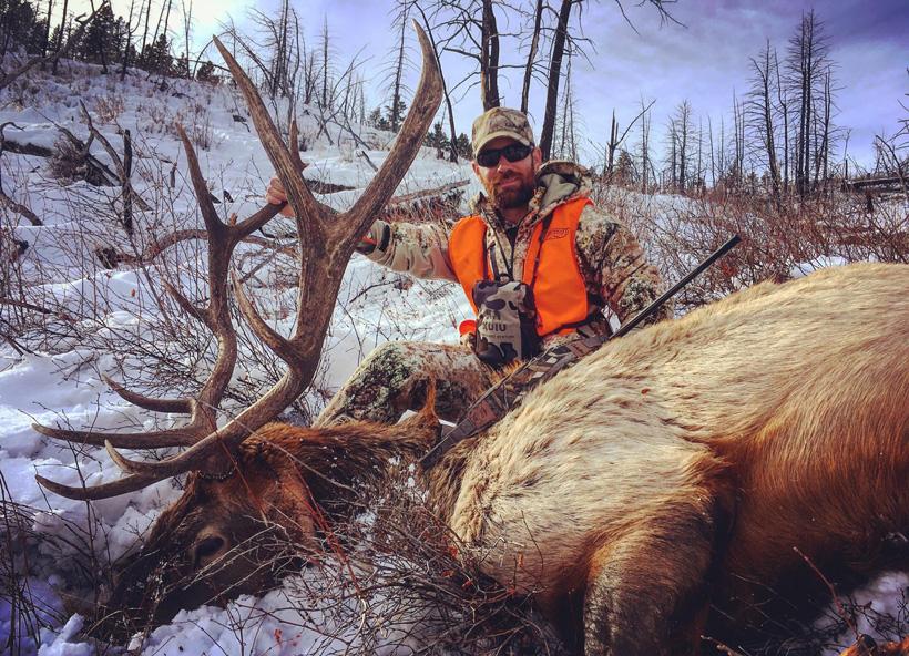 2016 montana bull elk taken with lazy j bar o outfitters