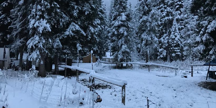 Elk camp with electric fence