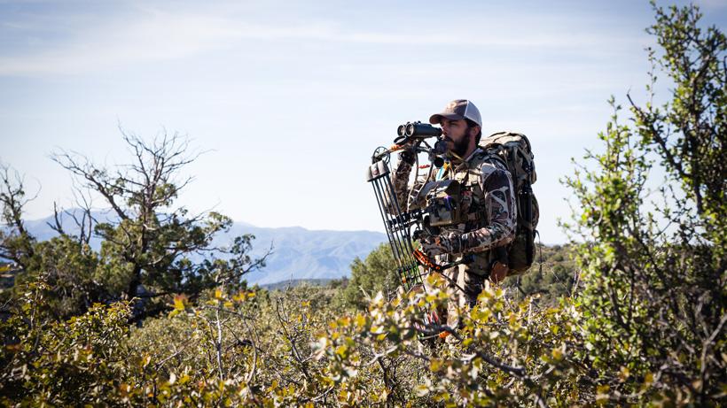 Glassing for deer using bow as a rest