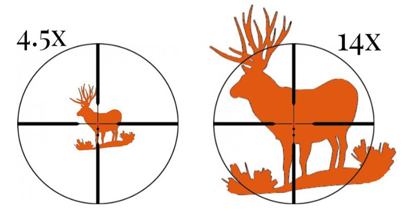First focal plane vs. second focal plane riflescopes for hunting - 1