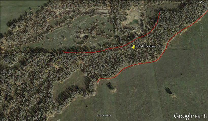 Locating a whitetail funnel