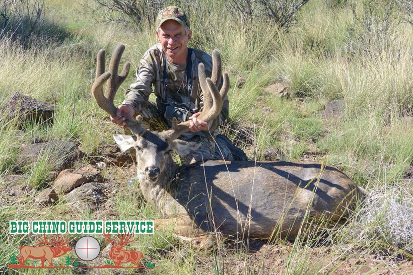 Over the counter velvet mule deer