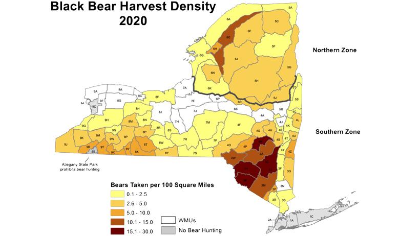 New Yorkers harvest over 1,700 black bears in 2020 - 0d