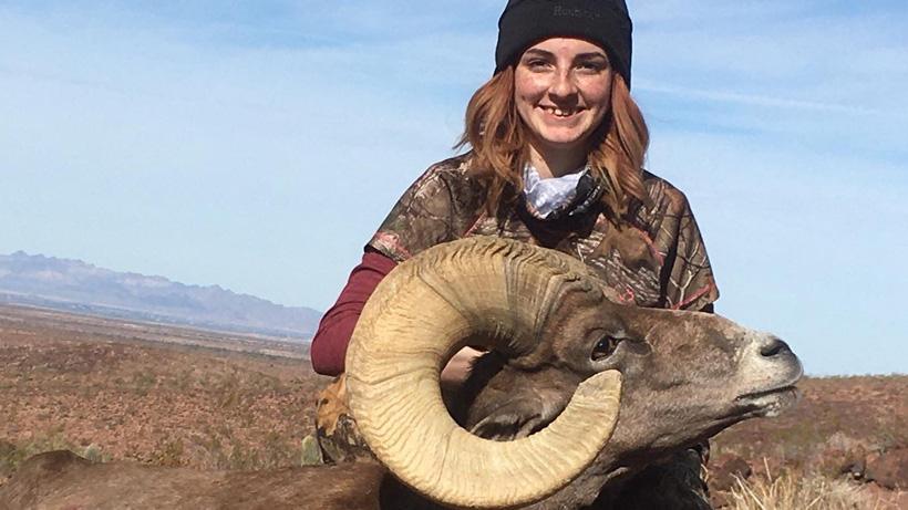 Gabrielle parrish bighorn sheep