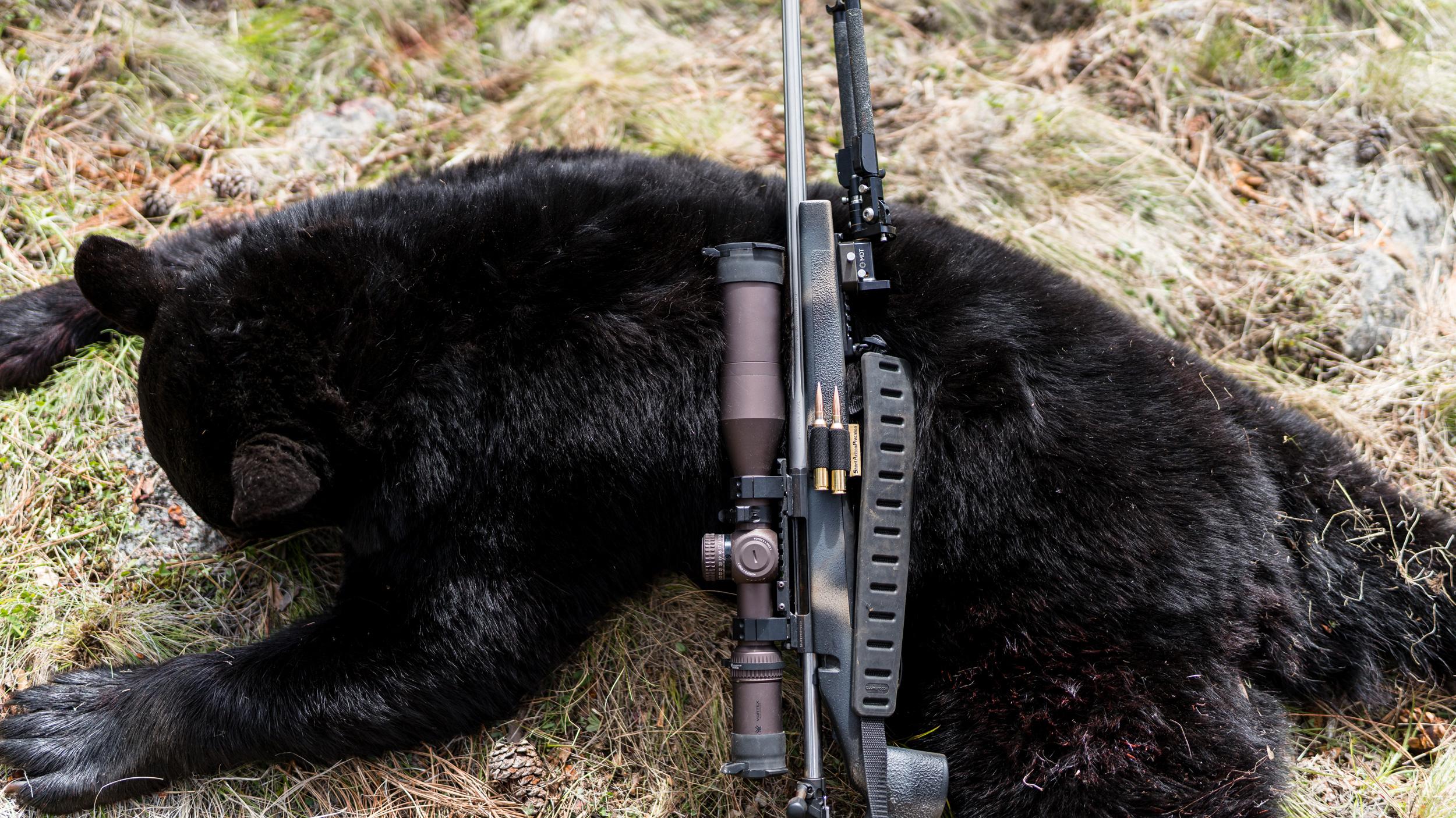 Browning X-Bolt rifle in 300 RUM with black bear