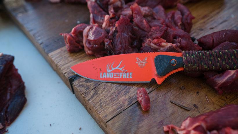 Born and raised mule deer