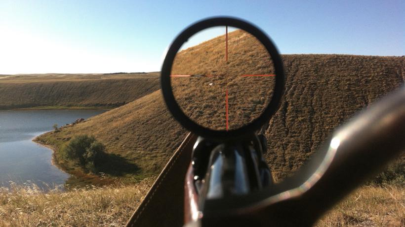 Antelope after the shot through the riflescope