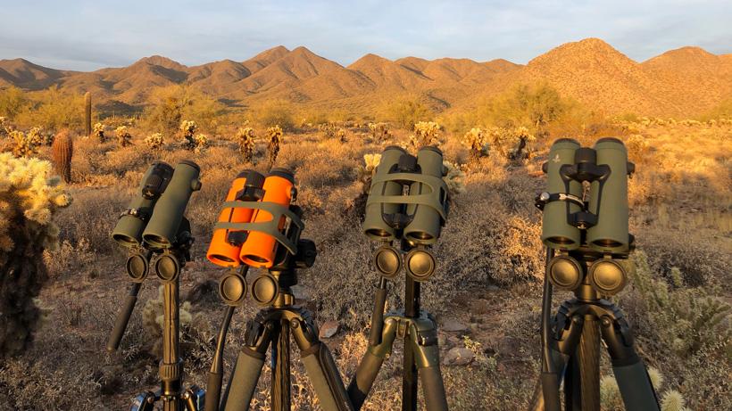 Swarovski binocular glass comparison