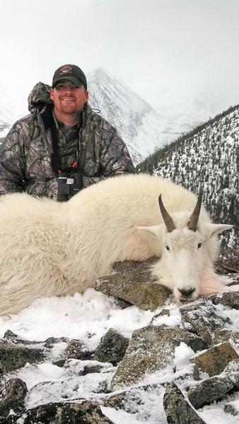 Cody phillips montana mountain goat