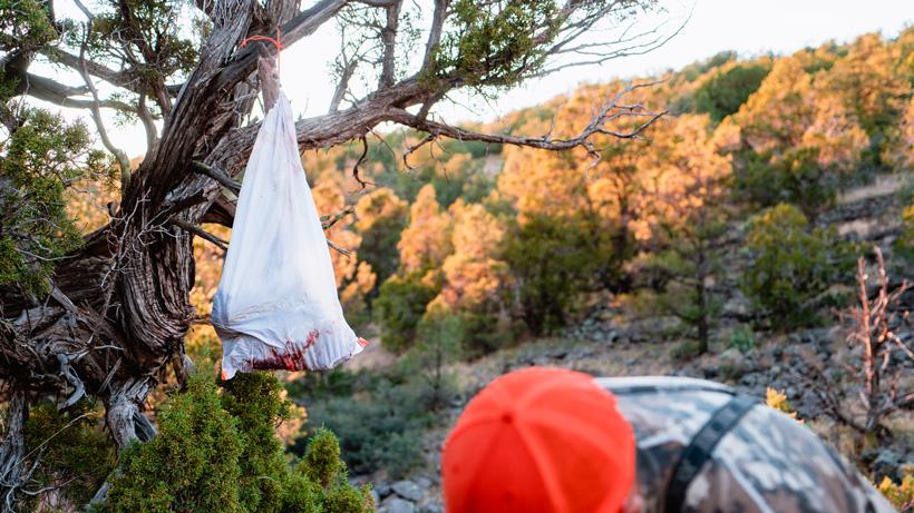 Hot weather hunting tips 2