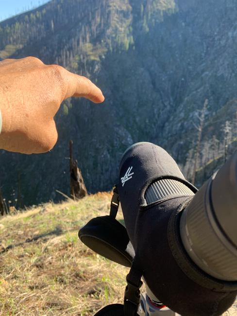Glassing for spring bears on open facing slopes