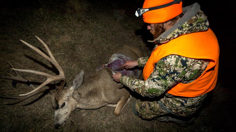 Sitka jetstream jacket with mule deer