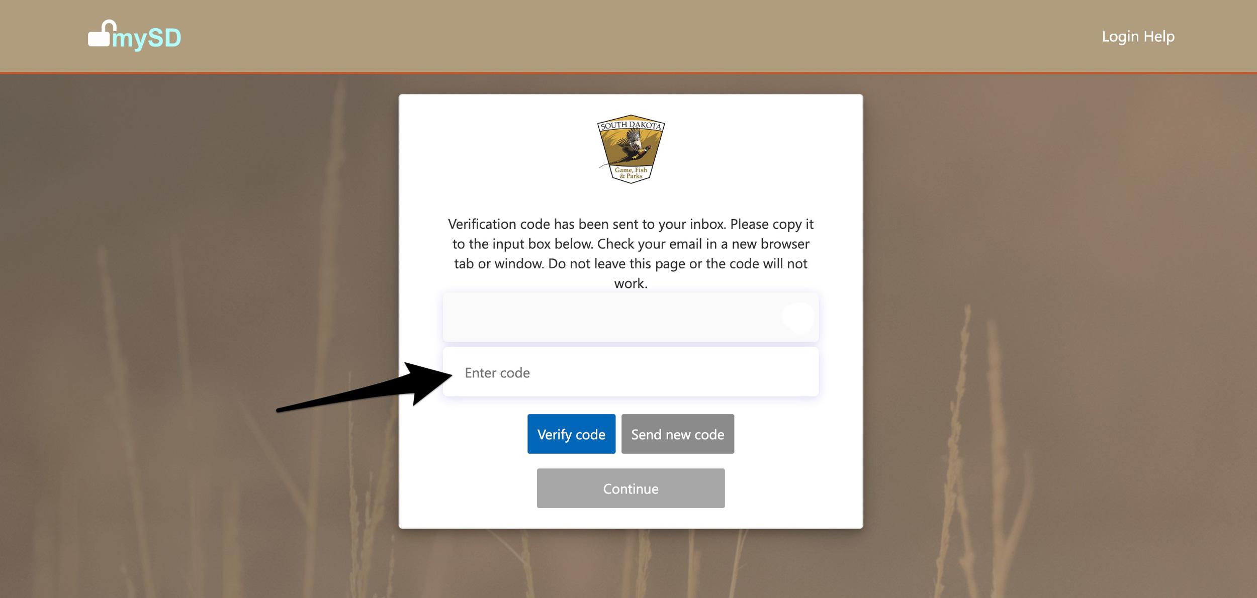 Enter verification code to login