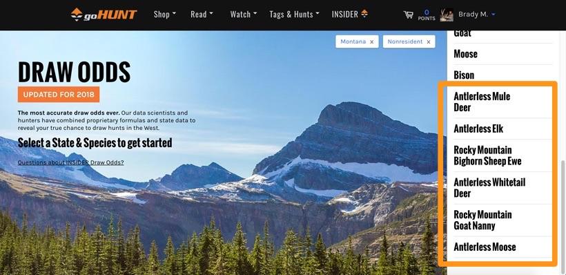 Female and antlerless species draw odds view on draw odds