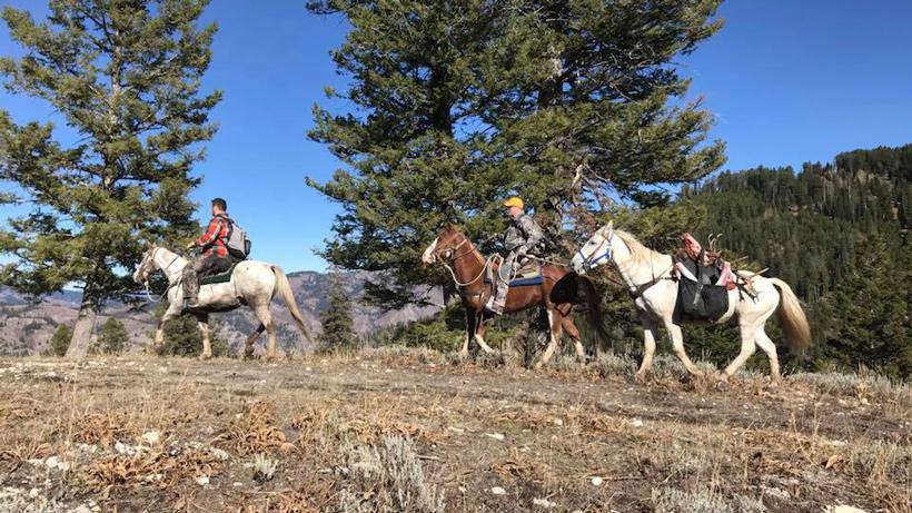 Wyoming elk packing out 2