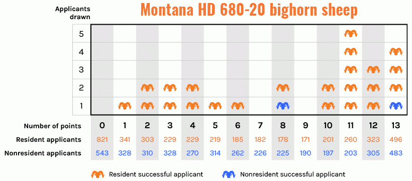 Montana rocky bighorn draw statistics 680 hd