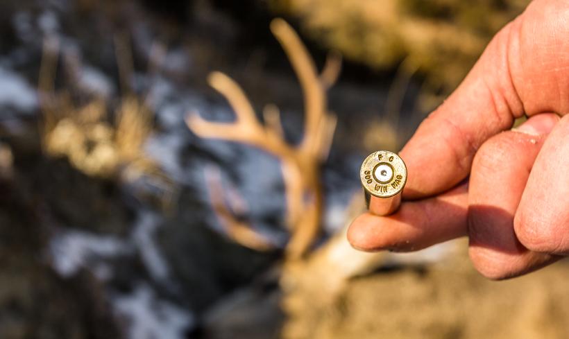 Rifle round with mule deer in background