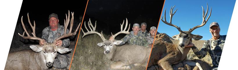 Pine peak outfitters 2016 mule deer success