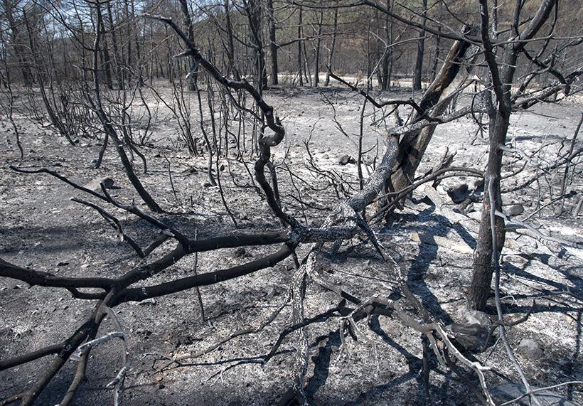 Wildfires impacting big game & how to track fires - 8