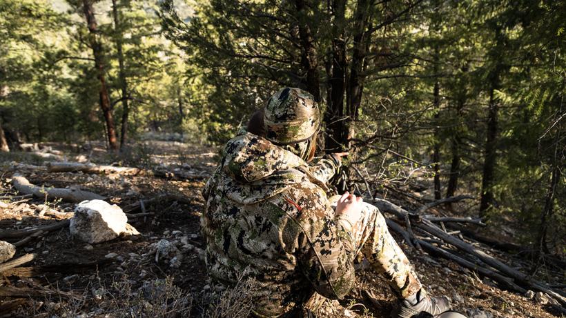 Hunting mountain turkeys in timber