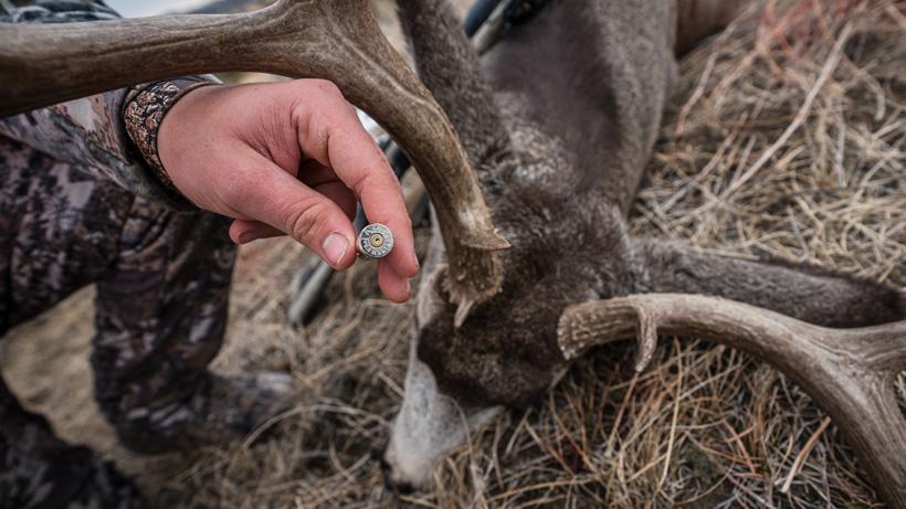 Browning 6.8 western with mule deer