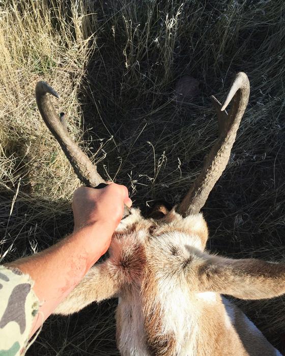 Incredible father-son antelope hunt in the plains of Wyoming - 14
