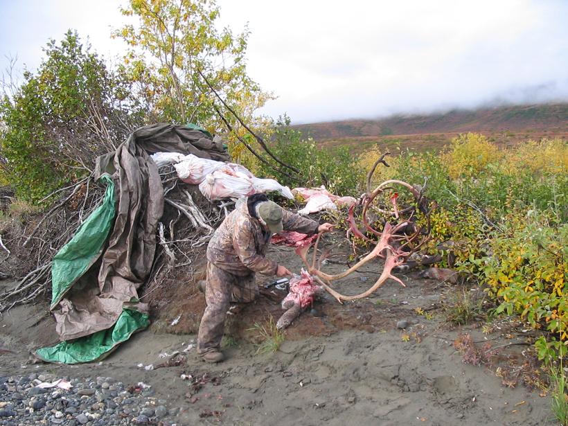 Hanging meat in the tundra