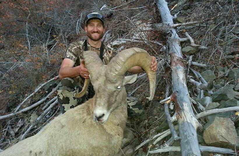 Grif cochran 2016 idaho rocky bighorn sheep