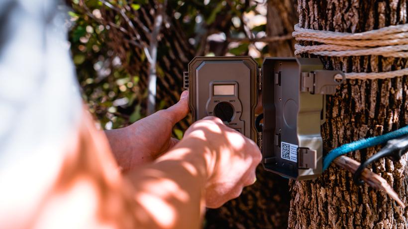 Are trail cameras the death of hunting? - 5