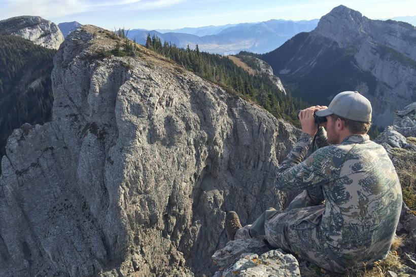 Glassing for rocky mountain bighorn sheep