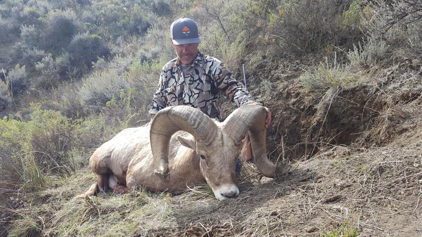 Beating the odds on a Montana bighorn sheep hunt - 11