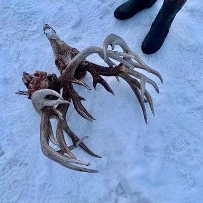 Wisconsin man finds record buck as deadhead of a lifetime - 0