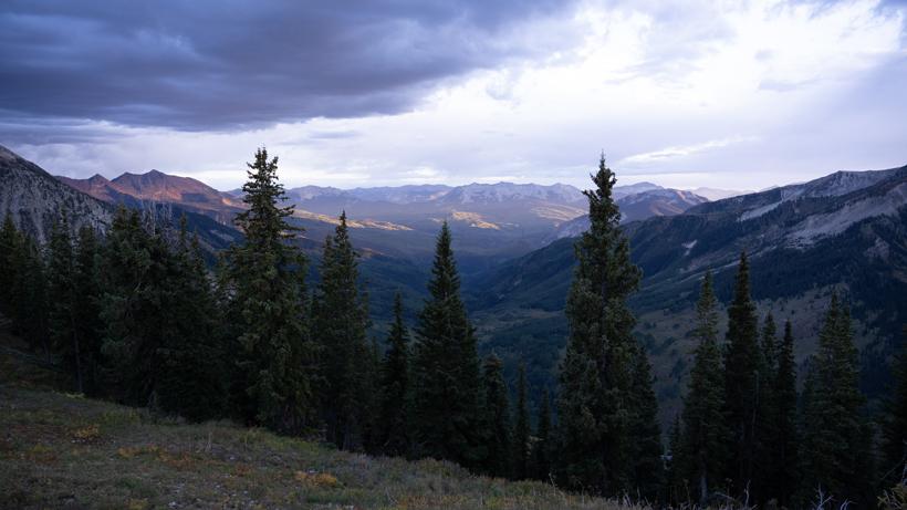 Sitting tight for bucks and bulls 3