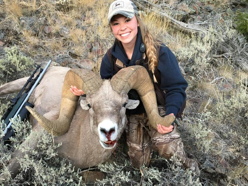 APPLICATION STRATEGY 2018: Montana Sheep, Moose, Goat, Bison - 2d