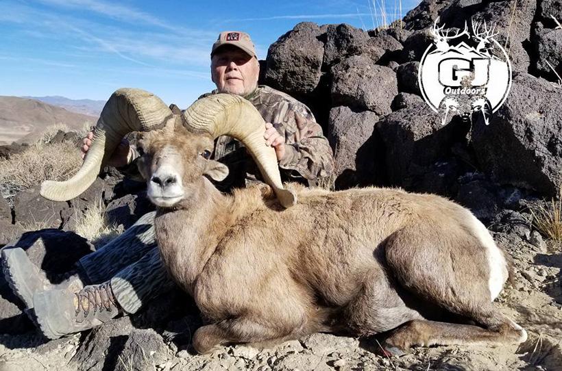 APPLICATION STRATEGY 2018: Nevada Sheep, Mtn Goat, Antelope - 6d