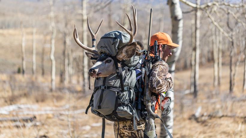 Seth webb packing out colorado mule deer in stone glacier backpack