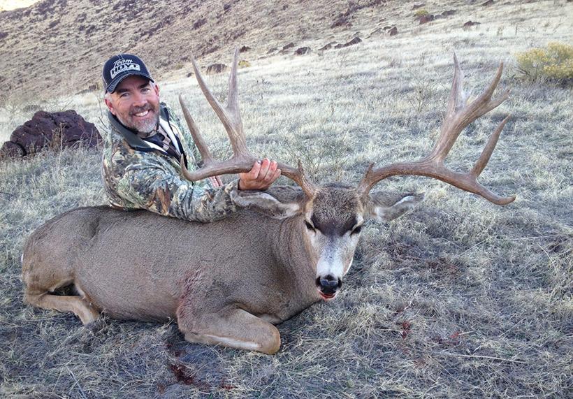 Steve wide mule deer