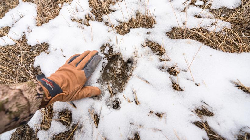 How to use sign scat horton 2