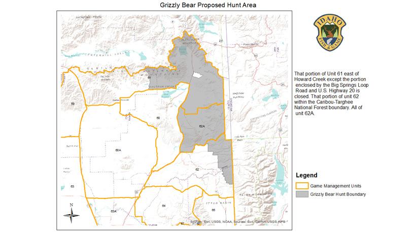 Idaho considers grizzly bear hunt - 0