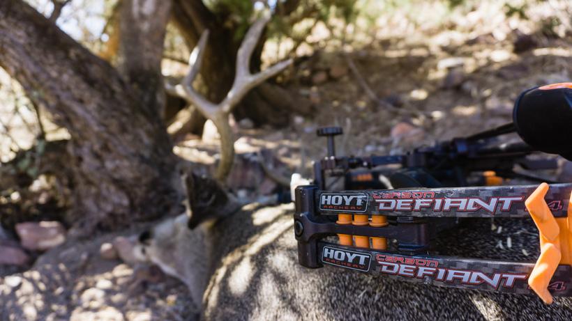 Pic 1 wild game meat